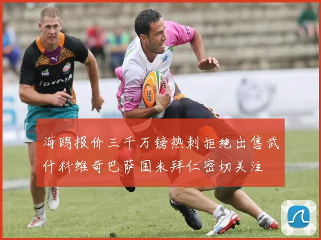 海鸥报价三千万镑热刺拒绝出售武什科维奇巴萨国米拜仁密切关注
